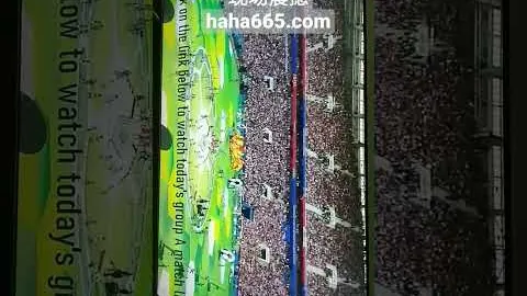科爾維爾質疑VAR判決：麥克托米奈射門時涉嫌侵犯我方球員