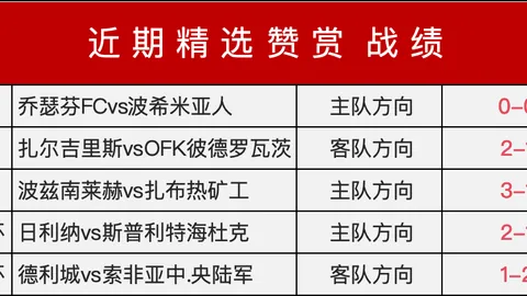 墨尔本胜利青年队主场战记足球赛事信息：深度数据
